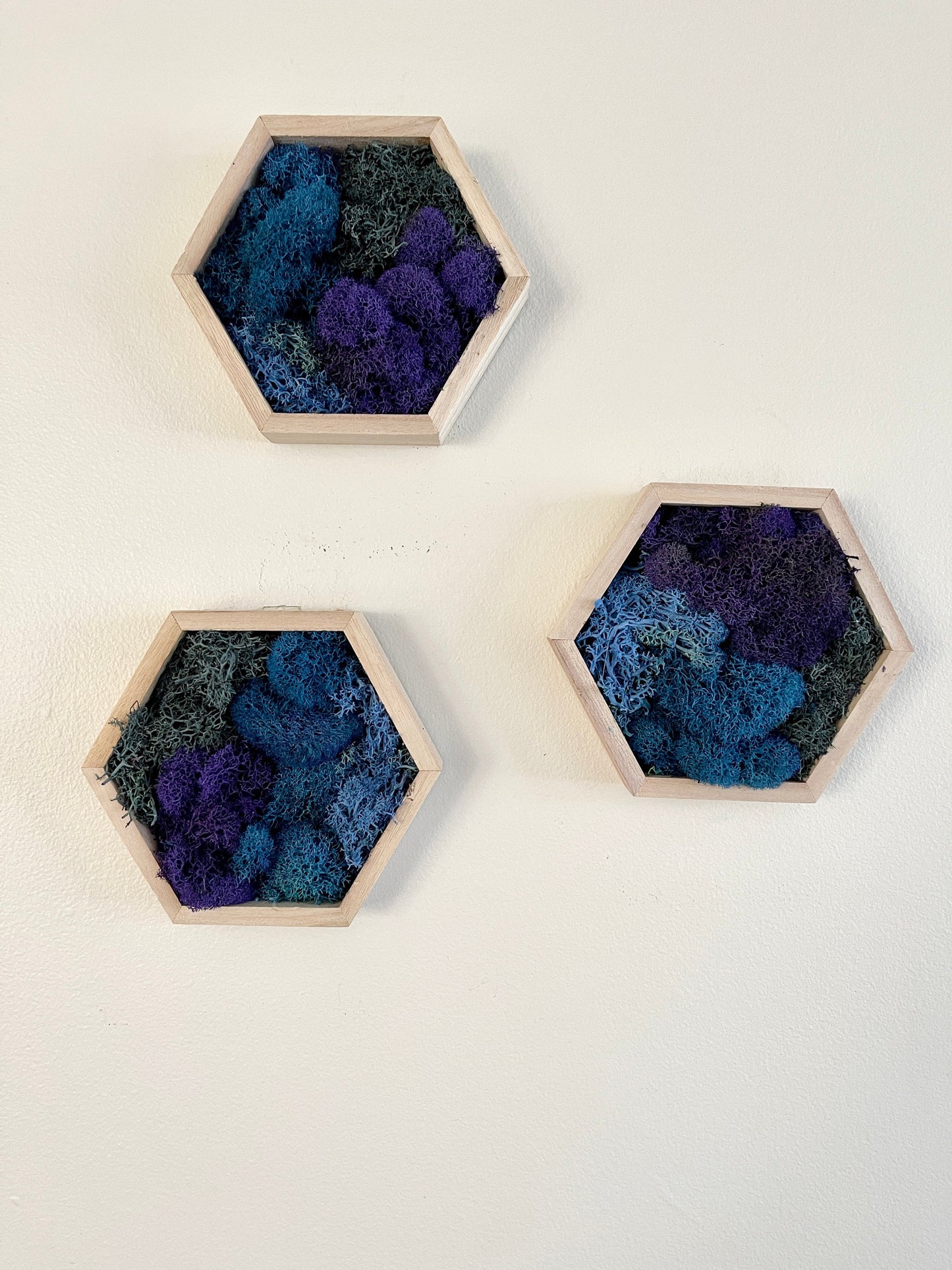 Moss Wall Art  | Honeycomb Moss   |  Home  Decor  | Wood Hexagon  | Blue and Purple