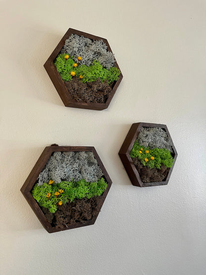 Moss Wall Art | Honeycomb Moss Decor | Single to Set of Twelve | Wood Hexagon  | Soil Grass Sky | Brown Green and Blue