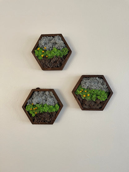 Moss Wall Art | Honeycomb Moss Decor | Single to Set of Twelve | Wood Hexagon  | Soil Grass Sky | Brown Green and Blue