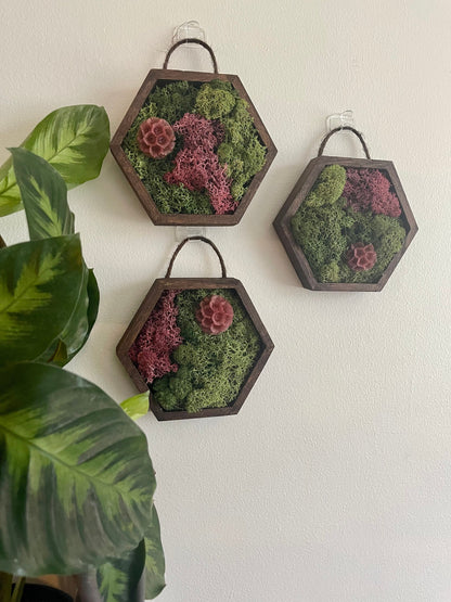 Moss Wall Art | Honeycomb Moss Decor | Single to Set of Twelve | Wood Hexagon | Green/Pink Reindeer Moss | Yellow, Red Or Fuchsia Scabiosa