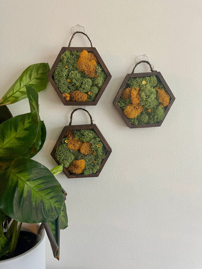 Moss Wall Art  | Honeycomb Preserved Moss Art  | Home Decor  | Wood Hexagon | Green and Mustard - Preserved Flowers