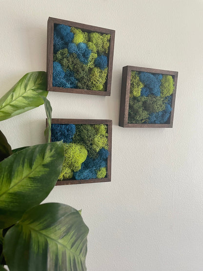 Moss Wall Art | Preserved Moss Art Framed | Square  | Green and Blue Reindeer Moss