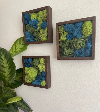 Moss Wall Art | Preserved Moss Art Framed | Square  | Green and Blue Reindeer Moss