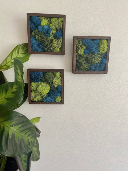 Moss Wall Art | Preserved Moss Art Framed | Square  | Green and Blue Reindeer Moss