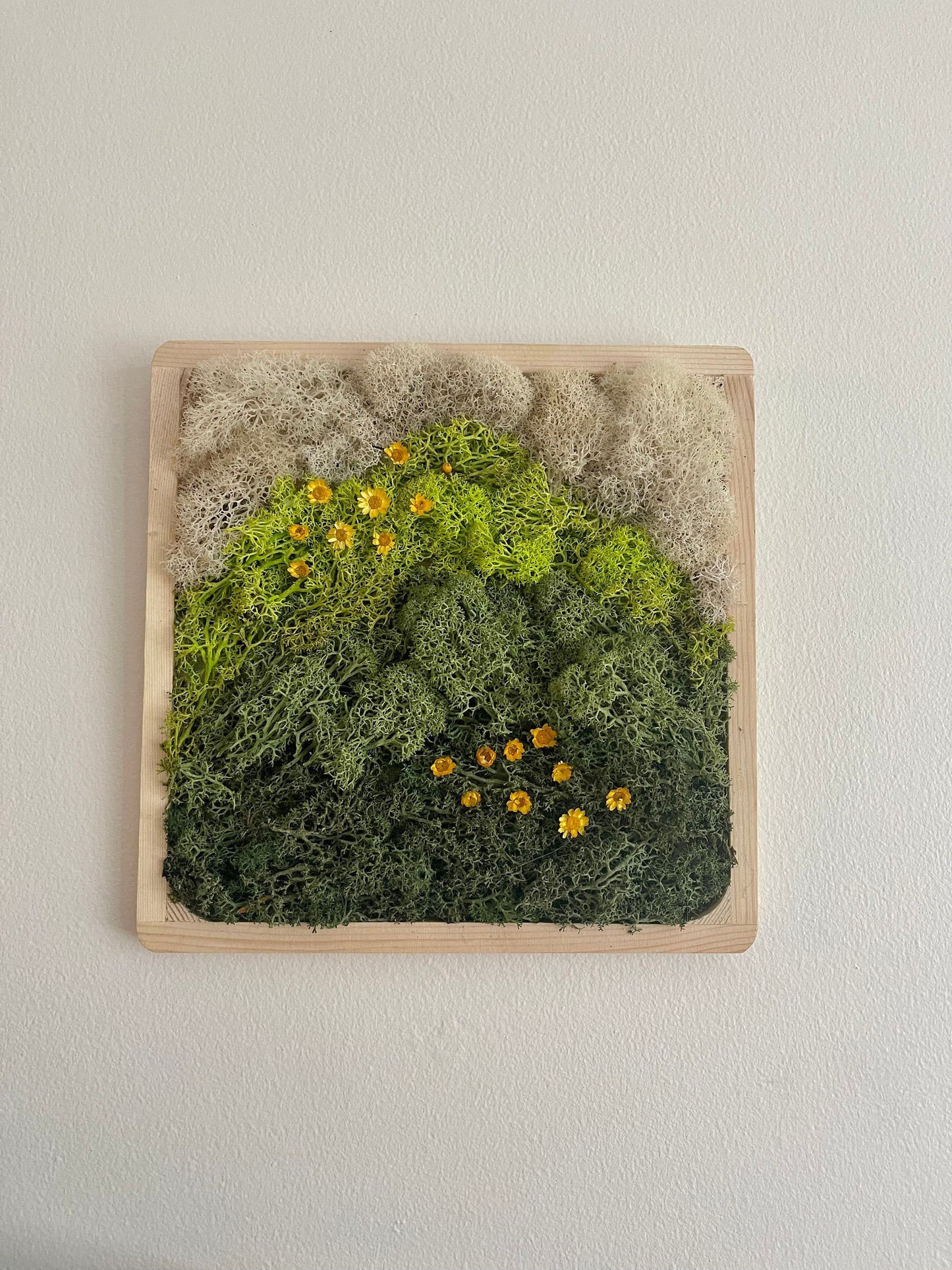 Moss Wall Art | Preserved Moss Art Framed | Square Wood Frame | Green and White with Preserved Flowers