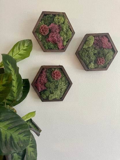 Moss Wall Art | Honeycomb Moss Decor | Single to Set of Twelve | Wood Hexagon | Green/Pink Reindeer Moss | Yellow, Red Or Fuchsia Scabiosa