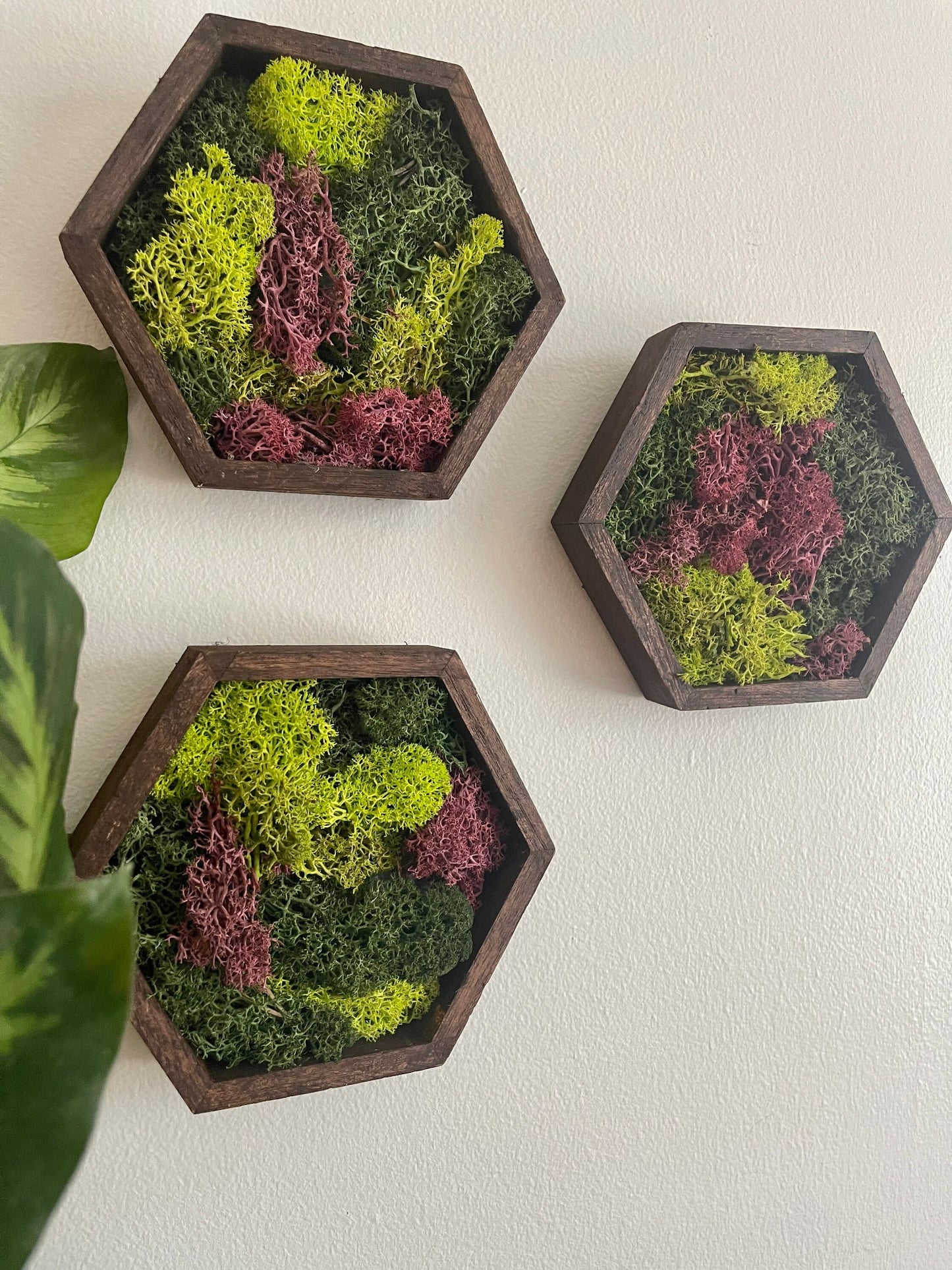 Moss Wall Art | Honeycomb Moss Decor | Single to Set of Twelve | Wood Hexagon  | Green and Pink