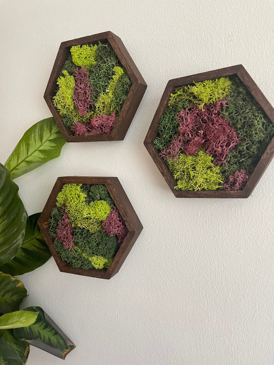 Moss Wall Art | Honeycomb Moss Decor | Single to Set of Twelve | Wood Hexagon  | Green and Pink