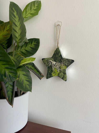 Star Moss  | Wall Art  |  Home  Decor  | Metal Star  | Green