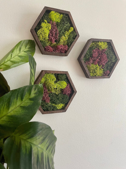 Moss Wall Art | Honeycomb Moss Decor | Single to Set of Twelve | Wood Hexagon  | Green and Pink