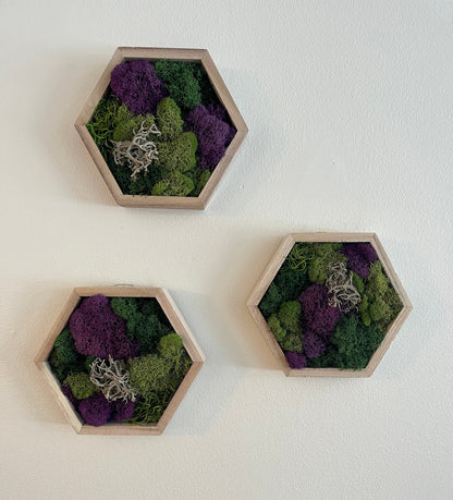 Moss Wall Art | Preserved Moss Wall Decor  | Home Decor | Moss Wood Hexagon  | Green and Purple