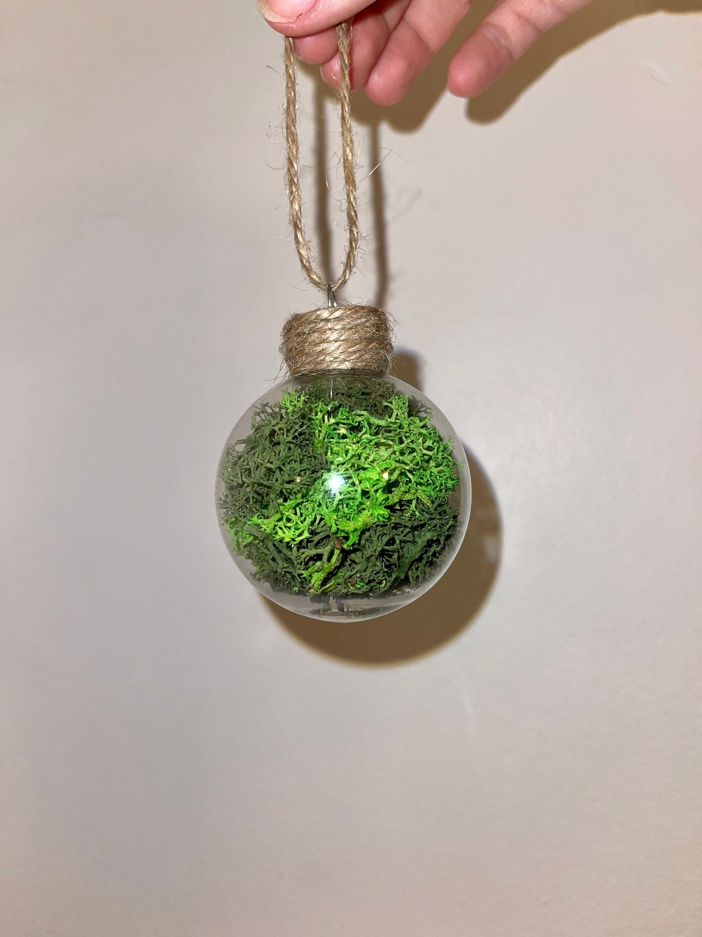 Moss Twine Ornaments |  Moss Wall Art | Preserved Reindeer Moss | Green Moss Terrarium