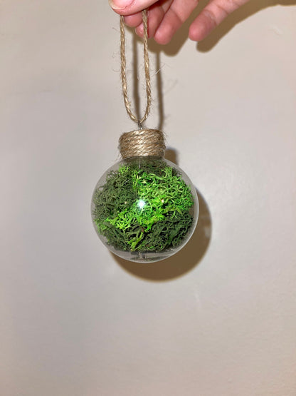 Moss Twine Ornaments |  Moss Wall Art | Preserved Reindeer Moss | Green Moss Terrarium