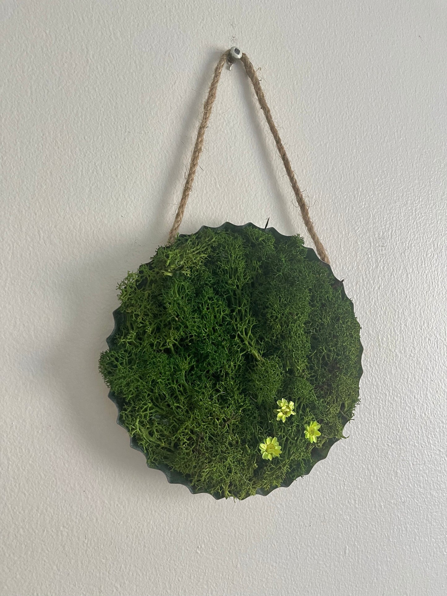 Moss Wall Art | Home Deco  | Round Metal Moss Frame | Green with Preserved Flowers