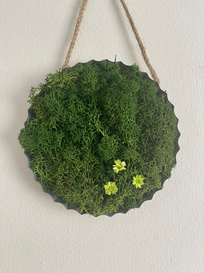 Moss Wall Art | Home Deco  | Round Metal Moss Frame | Green with Preserved Flowers