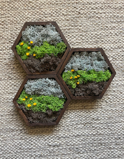 Moss Wall Art | Honeycomb Moss Decor | Single to Set of Twelve | Wood Hexagon  | Soil Grass Sky | Brown Green and Blue