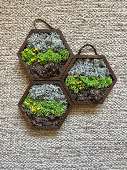 Moss Wall Art | Honeycomb Moss Decor | Single to Set of Twelve | Wood Hexagon  | Soil Grass Sky | Brown Green and Blue