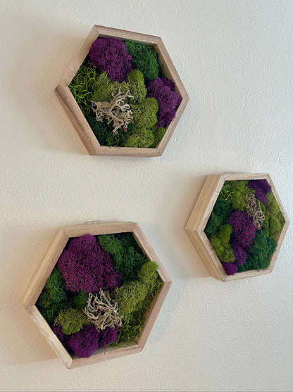 Moss Wall Art | Preserved Moss Wall Decor  | Home Decor | Moss Wood Hexagon  | Green and Purple