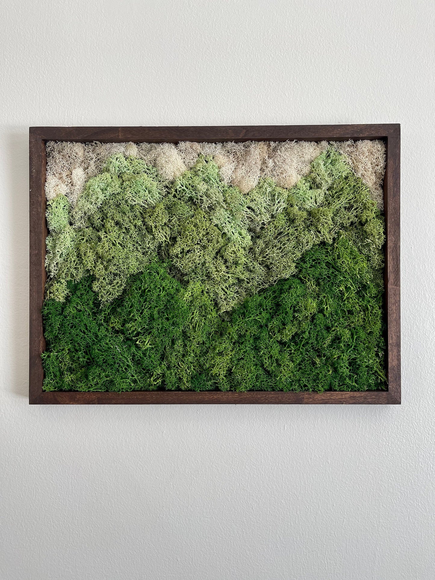 Moss Wall Art | Preserved Moss Framed | Moss Wall Decor | Rectangle Frame | Green Mountains Reindeer Moss