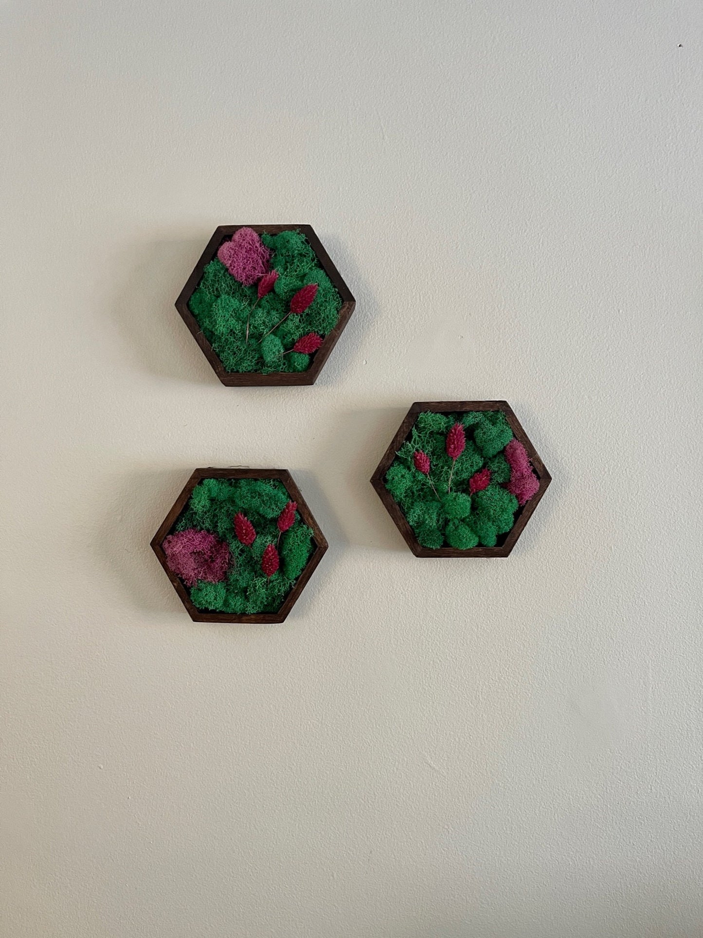 Moss Wall Art  | Honeycomb Moss |  Home  Decor  | Wood Hexagon  | Teal and Pink with Preserved Product