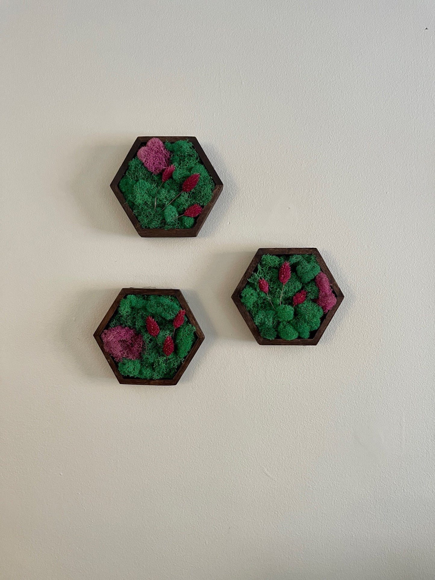 Moss Wall Art  | Honeycomb Moss |  Home  Decor  | Wood Hexagon  | Teal and Pink with Preserved Product