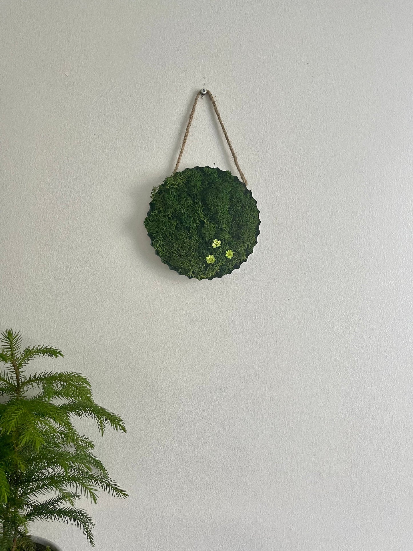 Moss Wall Art | Home Deco  | Round Metal Moss Frame | Green with Preserved Flowers