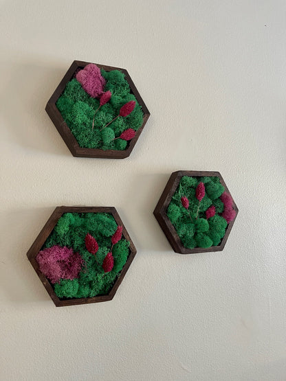 Moss Wall Art  | Honeycomb Moss |  Home  Decor  | Wood Hexagon  | Teal and Pink with Preserved Product