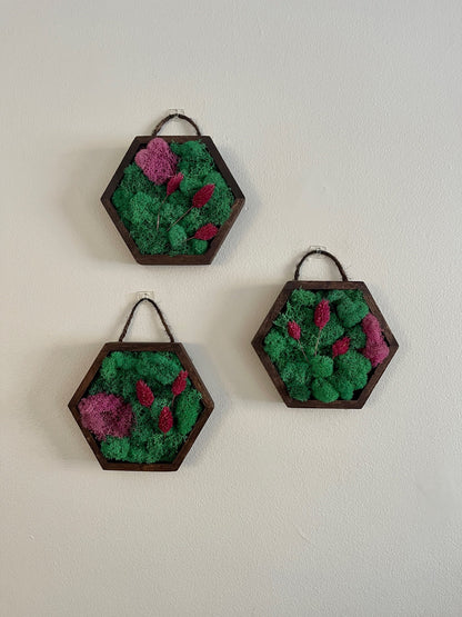 Moss Wall Art  | Honeycomb Moss |  Home  Decor  | Wood Hexagon  | Teal and Pink with Preserved Product