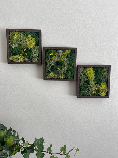 Moss Wall Art | Moss Decor | Single to Set of Twelve | Wood Square Frame  | Preserved Moss | Live Moss | Green with Preserved Flowers