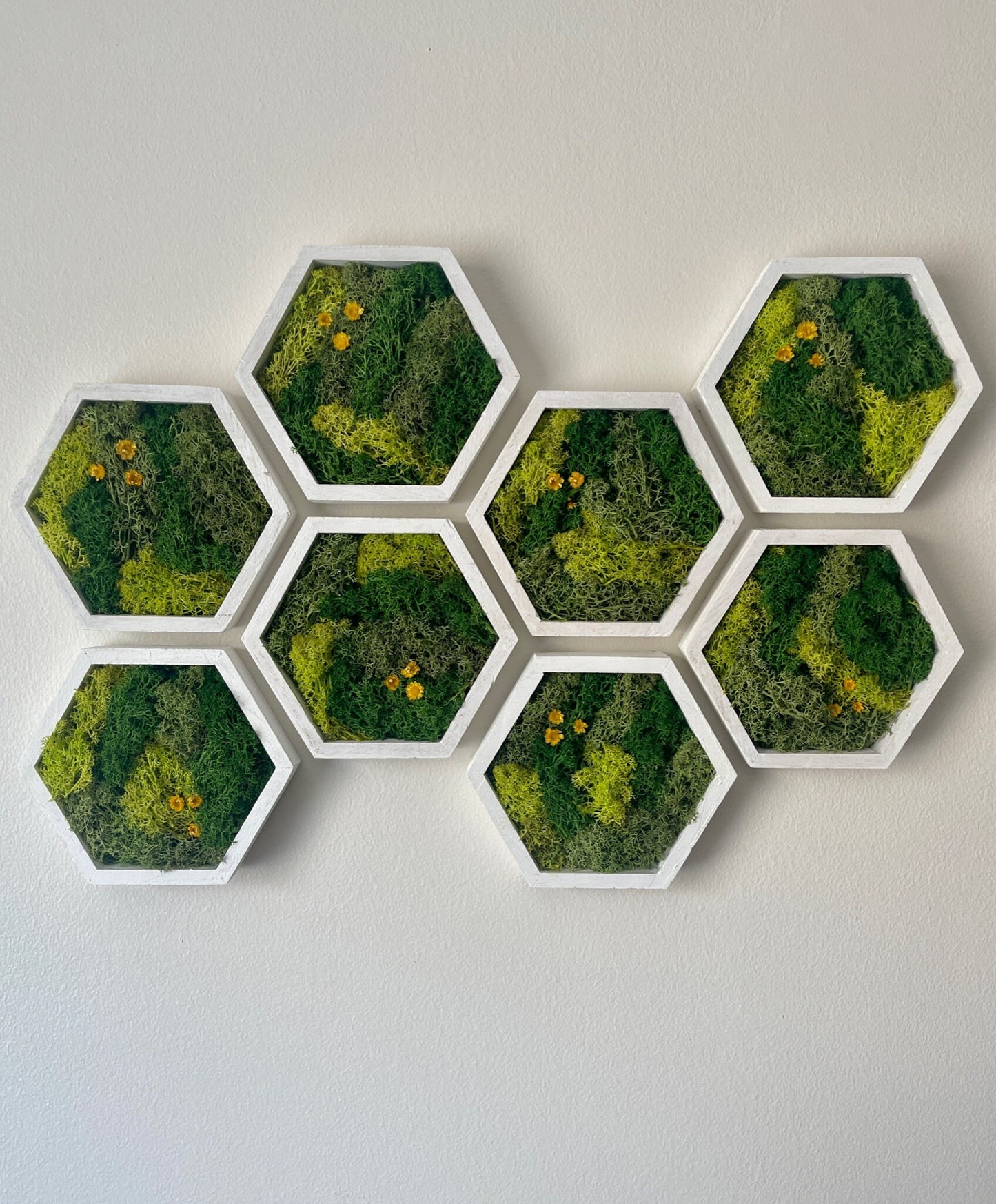 Moss Wall Art | Honeycomb Moss Single to Set of Twelve | Preserved Moss | White Hexagon Frame | Live Moss | Green with Preserved Flowers