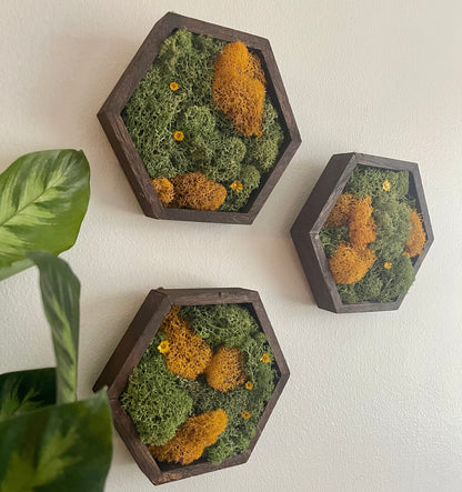 Moss Wall Art  | Honeycomb Preserved Moss Art  | Home Decor  | Wood Hexagon | Green and Mustard - Preserved Flowers