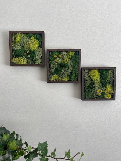 Moss Wall Art | Moss Decor | Single to Set of Twelve | Wood Square Frame  | Preserved Moss | Live Moss | Green with Preserved Flowers
