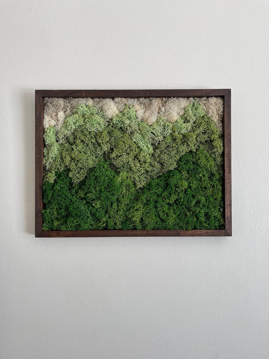 Moss Wall Art | Preserved Moss Framed | Moss Wall Decor | Rectangle Frame | Green Mountains Reindeer Moss