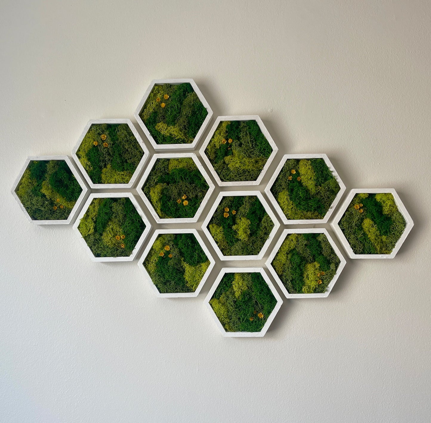 Moss Wall Art | Honeycomb Moss Single to Set of Twelve | Preserved Moss | White Hexagon Frame | Live Moss | Green with Preserved Flowers