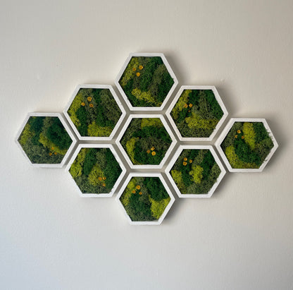 Moss Wall Art | Honeycomb Moss Single to Set of Twelve | Preserved Moss | White Hexagon Frame | Live Moss | Green with Preserved Flowers