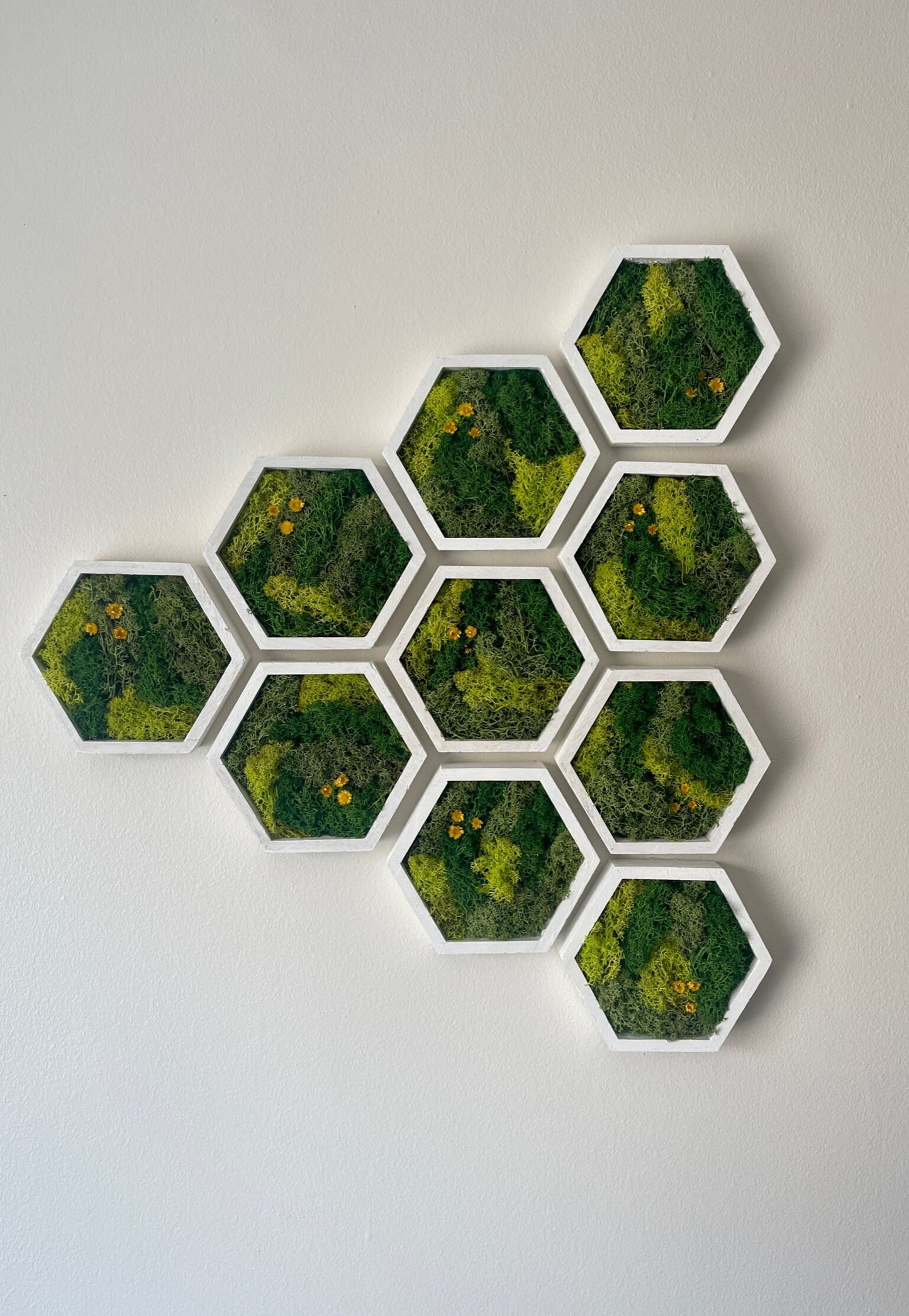 Moss Wall Art | Honeycomb Moss Single to Set of Twelve | Preserved Moss | White Hexagon Frame | Live Moss | Green with Preserved Flowers