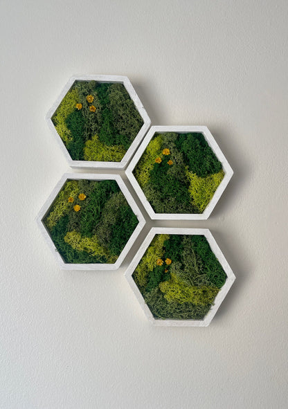 Moss Wall Art | Honeycomb Moss Single to Set of Twelve | Preserved Moss | White Hexagon Frame | Live Moss | Green with Preserved Flowers