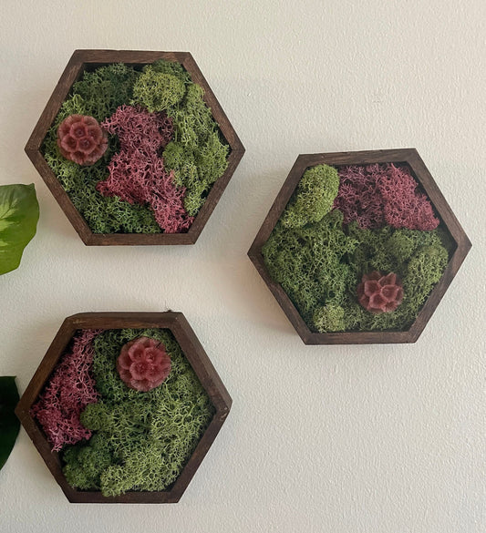 Moss Wall Art | Honeycomb Moss Decor | Single to Set of Twelve | Wood Hexagon | Green/Pink Reindeer Moss | Yellow, Red Or Fuchsia Scabiosa