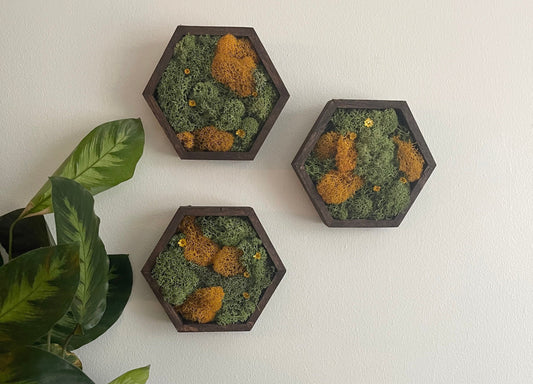 Moss Wall Art  | Honeycomb Preserved Moss Art  | Home Decor  | Wood Hexagon | Green and Mustard - Preserved Flowers