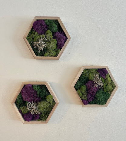 Moss Wall Art | Preserved Moss Wall Decor  | Home Decor | Moss Wood Hexagon  | Green and Purple