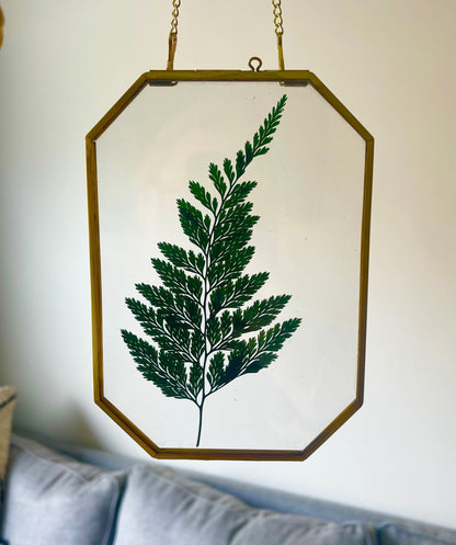 Preserved Fern Glass Wall Art, Framed Pressed Fern, Hanging Brass Frame, Botanical Art, Boho Decor