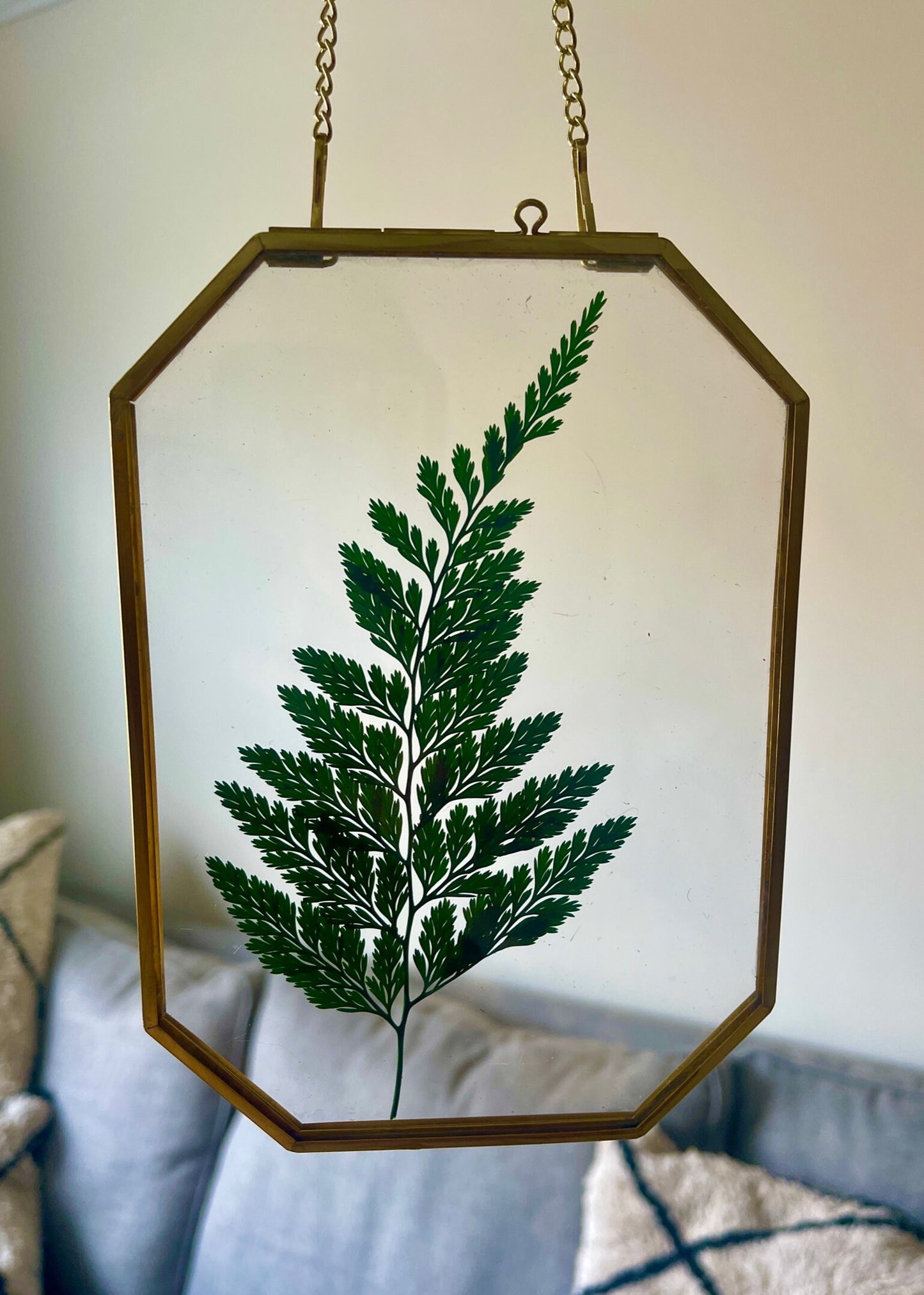 Preserved Fern Glass Wall Art, Framed Pressed Fern, Hanging Brass Frame, Botanical Art, Boho Decor