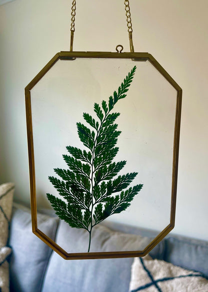 Preserved Fern Glass Wall Art, Framed Pressed Fern, Hanging Brass Frame, Botanical Art, Boho Decor