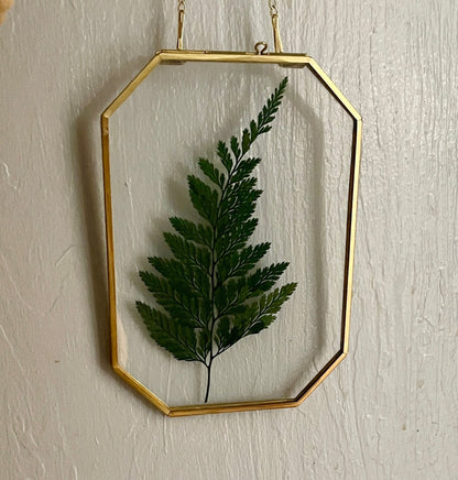 Preserved Fern Glass Wall Art, Framed Pressed Fern, Hanging Brass Frame, Botanical Art, Boho Decor