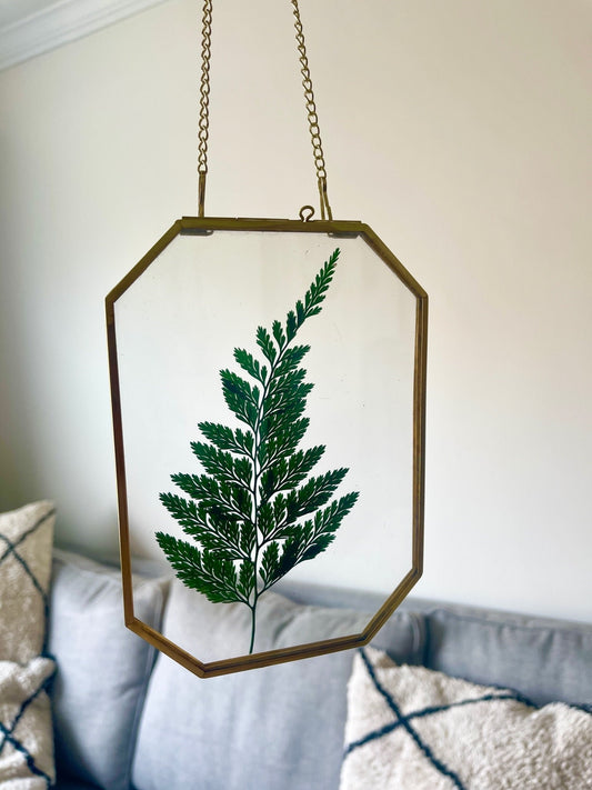 Preserved Fern Glass Wall Art, Framed Pressed Fern, Hanging Brass Frame, Botanical Art, Boho Decor