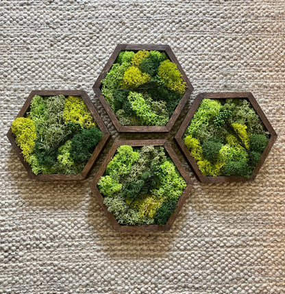 Moss Wall Art | Preserved Moss Wall Decor | Honeycomb Moss Art | Set of One to Twelve | Wood Hexagon | Green