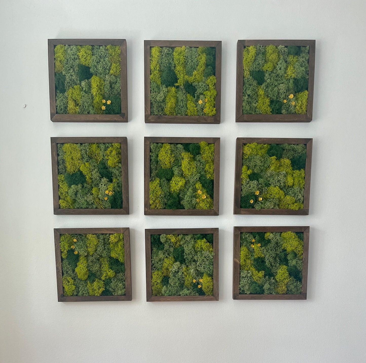 Moss Wall Art | Moss Decor | Single to Set of Nine | Wood Square Frame  | Preserved Moss | Live Moss | Green| Father's Day | 8" x 8"  Frames