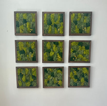 Moss Wall Art | Moss Decor | Single to Set of Nine | Wood Square Frame  | Preserved Moss | Live Moss | Green| Father's Day | 8" x 8"  Frames