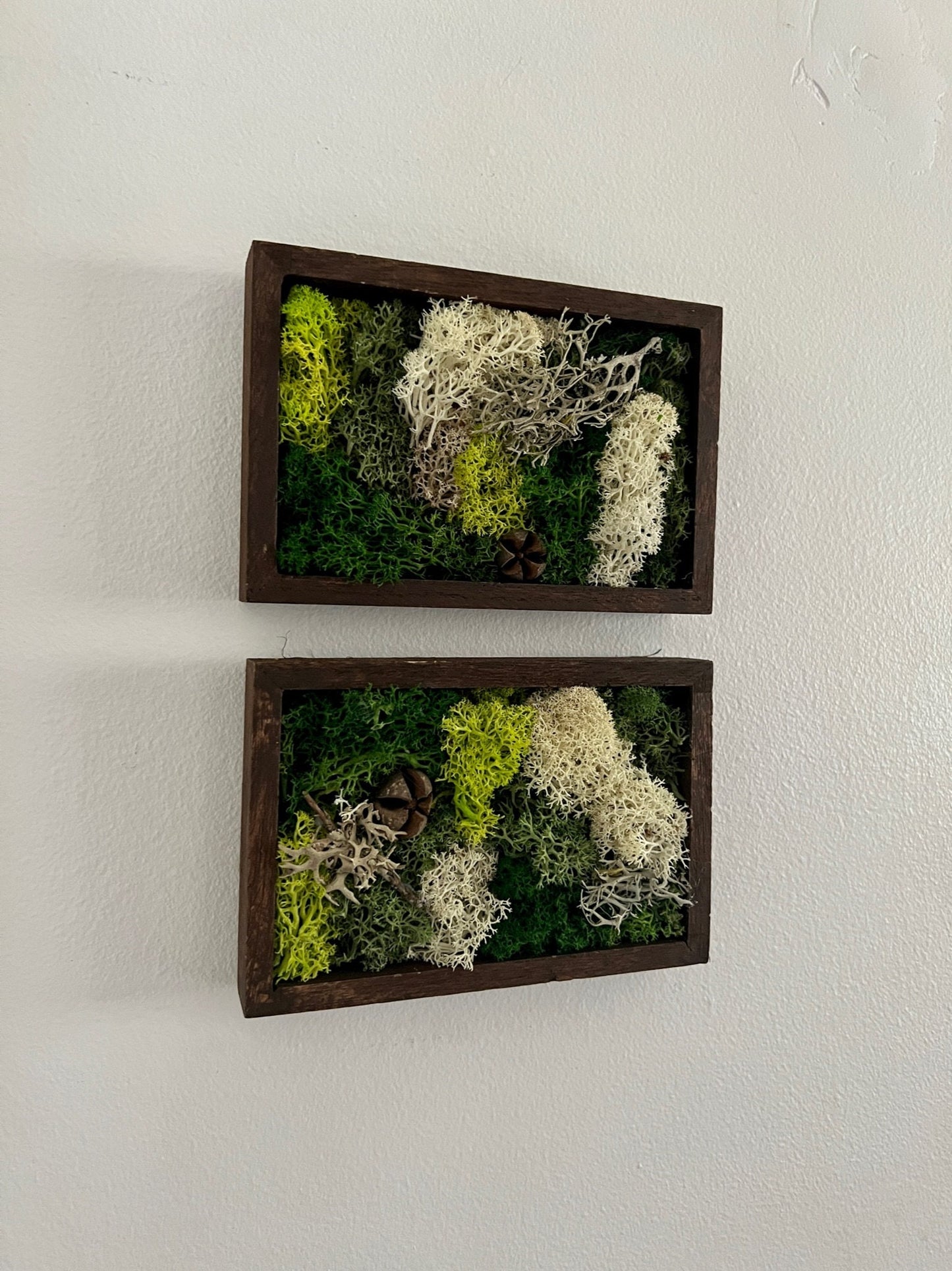 Moss Wall Art | Preserved Moss Art Framed | Rectangle  | Green and Beige