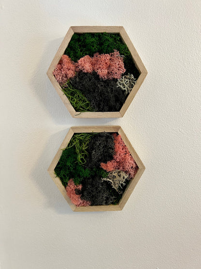 Moss Wall Art  | Honeycomb Moss   |  Home  Decor  | 5" by 6" Wood Hexagon  | Pink Green and Black